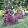 Dancers for Boscobel, 2011