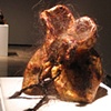 Untitled Corset, 2006