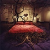 The Red Bed