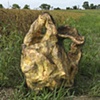 Unfamiliar Skin Dress, 2006
