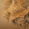 Chiasmara detail