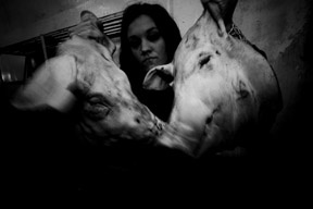 Self-Portrait: Flesh Like Humans