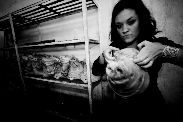 Self-Portrait: Last Day of Pigs