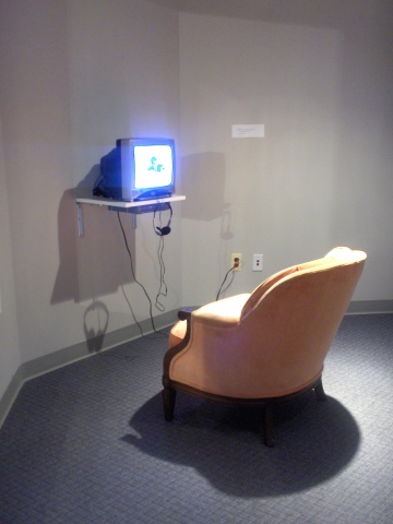 Video at MONA in Detroit