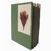 Bemanzi's book