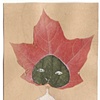 leaf head
