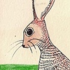 Katrina's Hare 