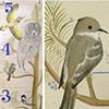 Growth Chart 