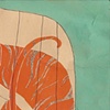 tiger dream