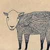 sheep 1
