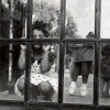 Redocumentation Series