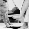 Cohabitation (2 of 4)