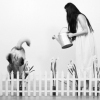 Fence (1 of 1)