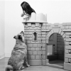 Fairy Tale (1 of 1)