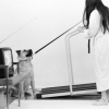 Cohabitation (3 of 4)