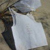 Sand in My Underwear