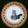 Circle Series, 2006