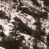 Diptych 3 (Right)
