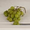 Still Life with Whitie Tighties and Forgotten Grapes