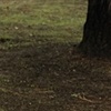 Diptych 5 (Right) 