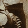 Atropos