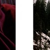 Eulogy: Norman's Asleep At The White Cloud Lookout