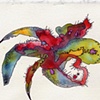 "Spiractus-Stidae"