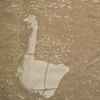 goose is loose(detail).