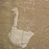 2oo9.