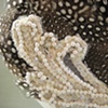 feathers and applique hair fastener(no.o2).