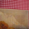 not my mother's apron. (detail)