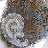 feathers and applique hair fastener(no.o1).
