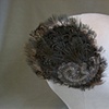 feathers and applique hair fastener(no.o1).