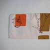 antlers+oranges(back).