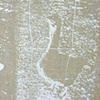 goose is loose(detail).