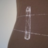 wire fences. (detail)