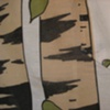 birch. (detail)