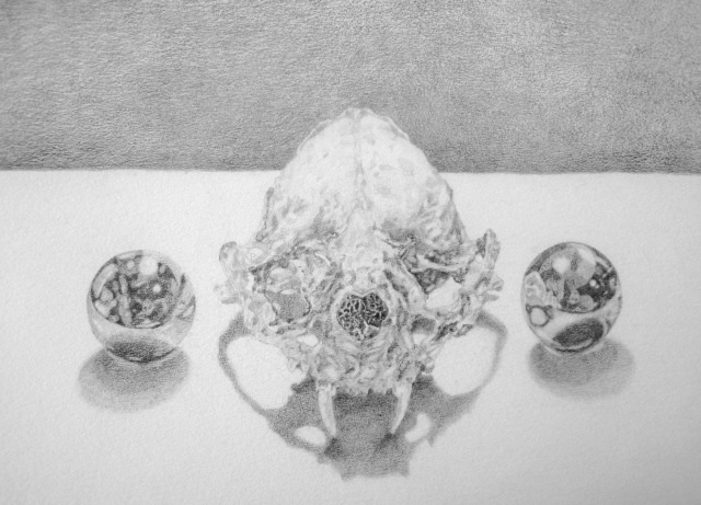 Cat skull with metal balls
