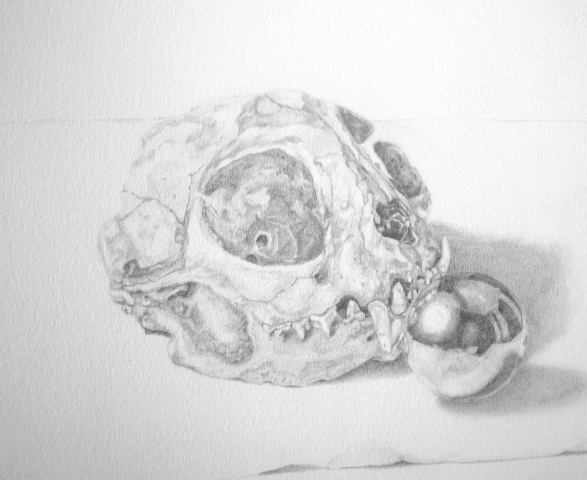 Skull with metal ball
