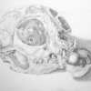 Skull with metal ball