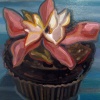 Chocolate with Pink Flower