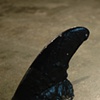 Circling Fins (detail)