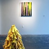 Bananas/ Banana Peel Pile (installation)