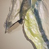 Moondoggie (detail)