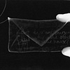 Letter for Louise (Detail photogram)
