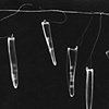 Gall containers for William (Detail photogram)