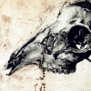 Fine Art Prints
