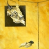 Egotism and the pieces that separated you and I...