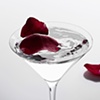Gin and Rose Water