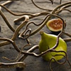 figs